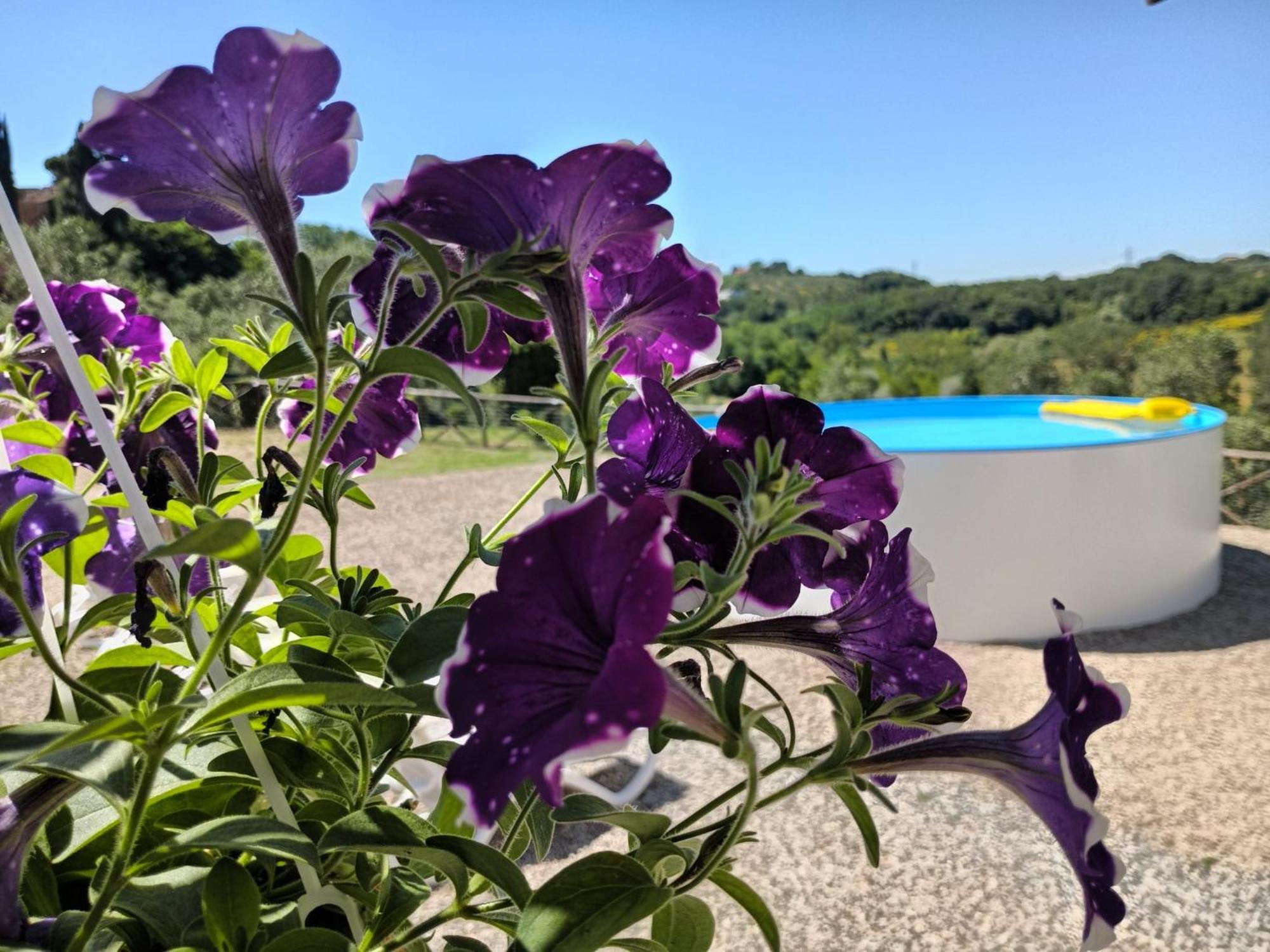 Villa Degli Olivi Nature Siena Eksteriør billede